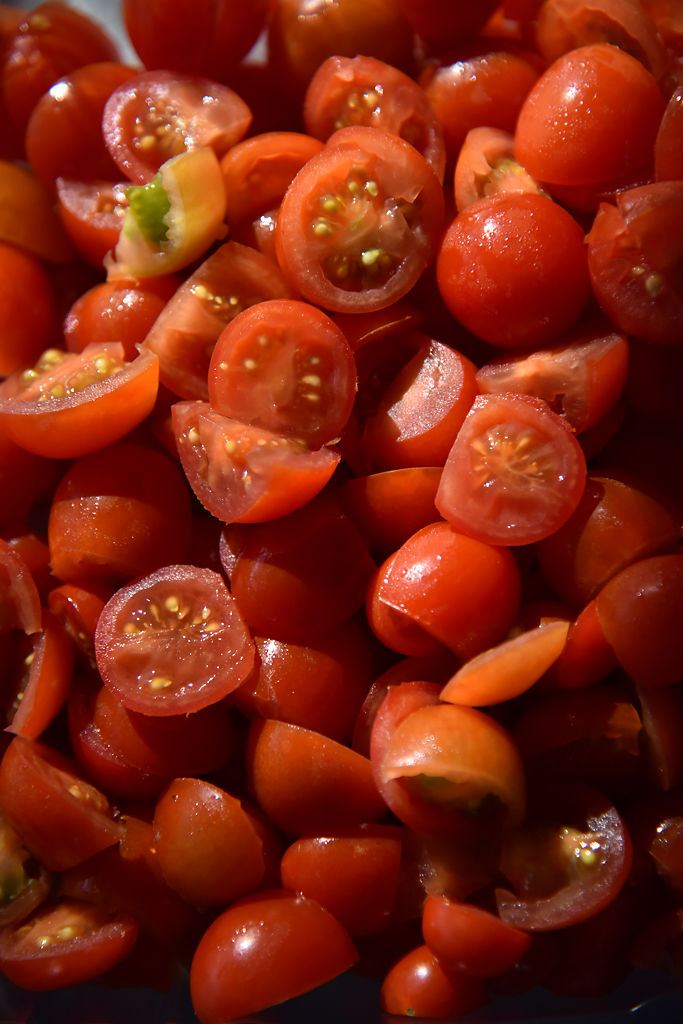 Artemis tomatoes sit in the sunlight and wait for visitors to taste them